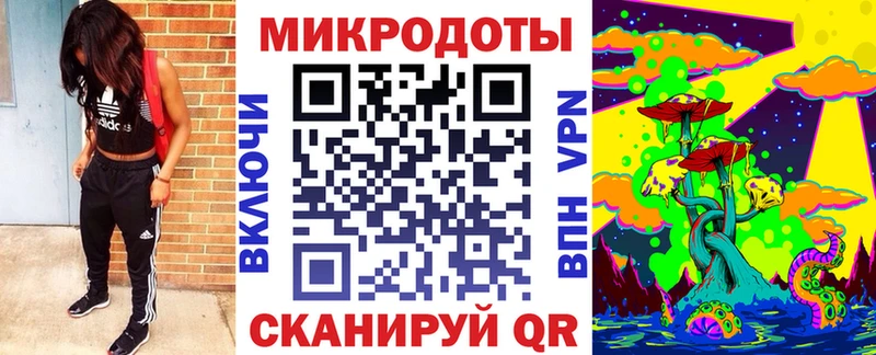 Псилоцибиновые грибы прущие грибы  Елизаветинская 
